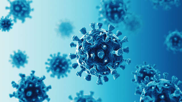 A new type of corona virus discovered in Limburg |  1 Limburg