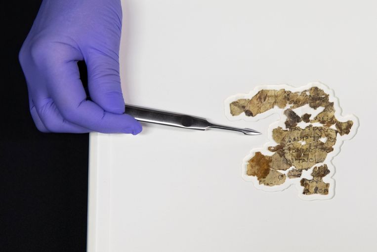 Discovery in the abomination cave: The Dead Sea Scrolls were found again decades later