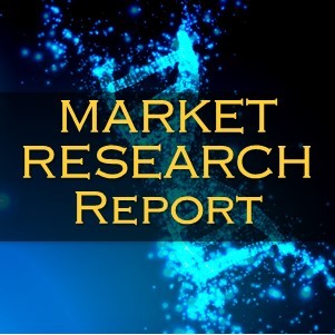 Global Family / Indoor Leisure Center Equipment Market 2021 to 2030: Demand is at the highest level in the Company's industry