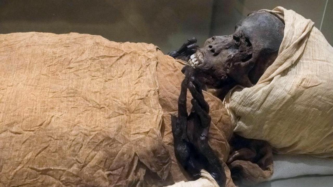 Egypt transfers 22 royal mummies in a large ceremonial procession |  right Now