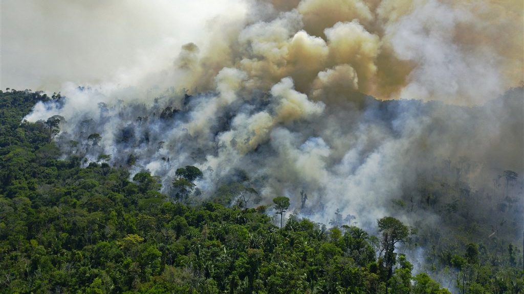 Record deforestation and drought in the Amazon, where wildfire season begins بدأ