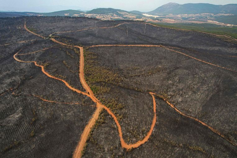 In the southwestern province of Mugla, Turkey, forest fires have burned nature reserves.  AFP photo
