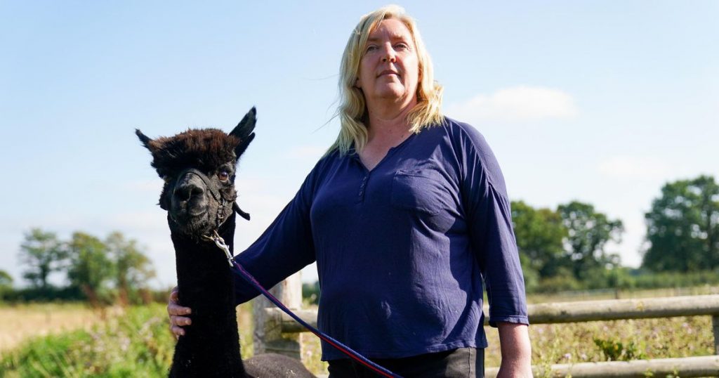 The end now really threatens tuberculosis alpaca Geronimo |  Abroad