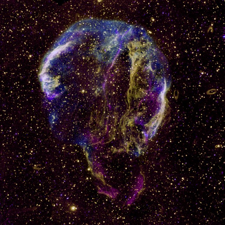 The remains of a star that exploded in the past in a supernova explosion.  The purple pieces in this image consist of radio emissions, added thanks to new measurement data.  Yellow (UV) and blue (X-ray) have been seen before.  Jennifer West's photo