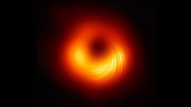 Hairy black holes: Physicists claim the solution to a 50-year-old paradox