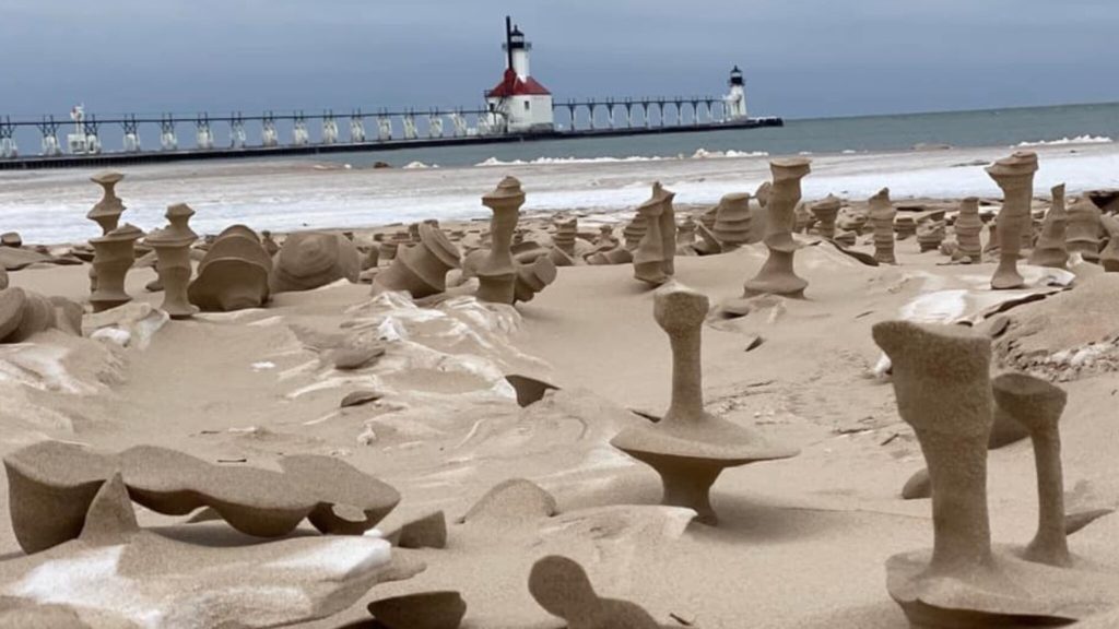 Rare sand sculptures on an American beach: ``It looks like another planet'