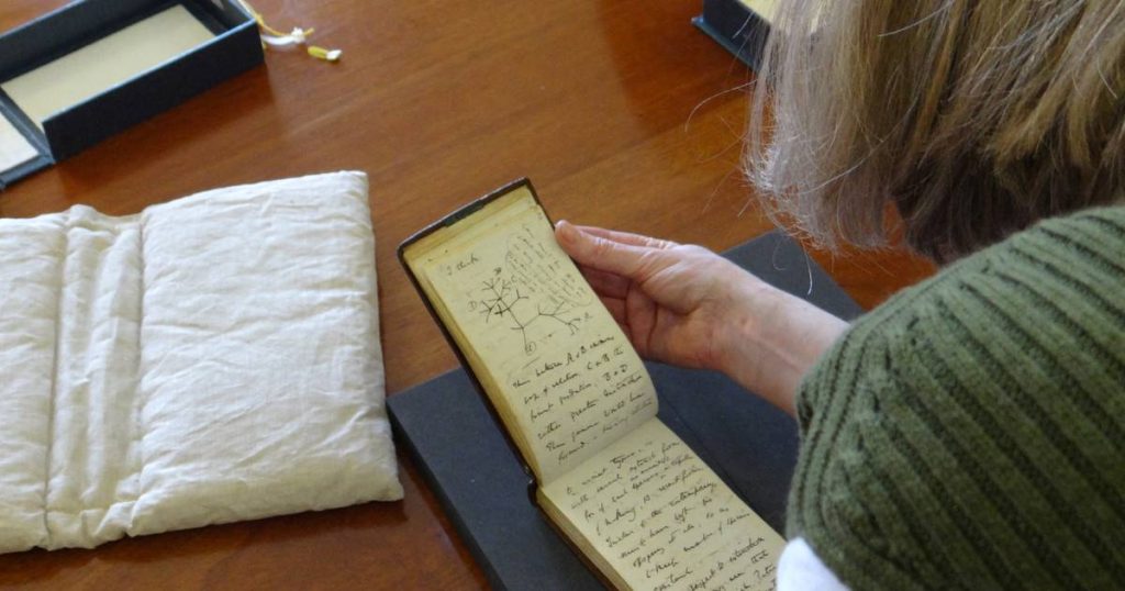 Stolen Darwin's notebooks return to library after 20 years: 'Happy Easter' |  Science