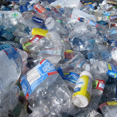 Adapted enzymes break down plastic faster