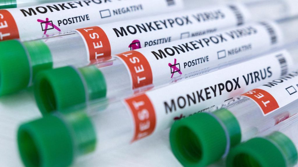Monkeypox will not become a pandemic, according to WHO, although relatively little is known so far |  Currently