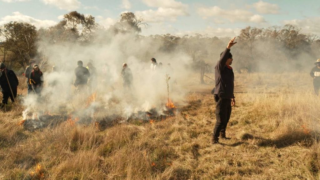 Indigenous community has a solution to wildfires around the world