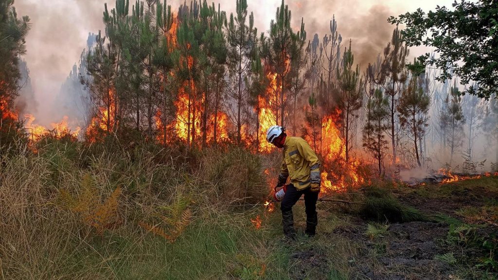 Bordeaux forest fires under control after two weeks and people go home |  Currently
