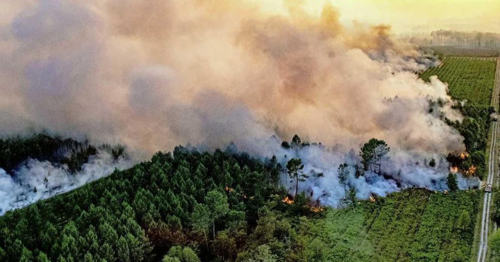 Forest fires ravage southern Europe affected by heat and deaths as well |  Abroad