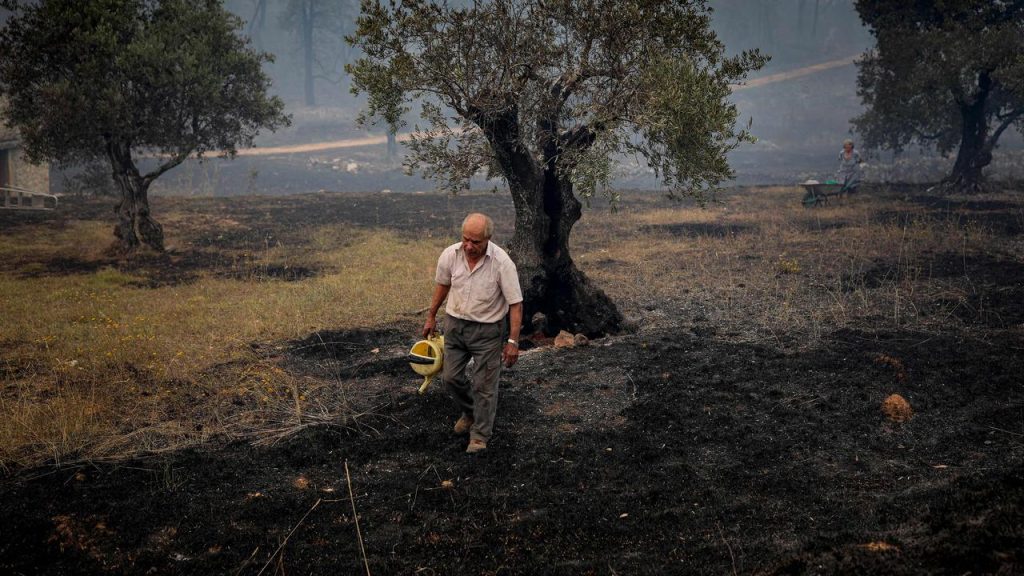 Portugal and Spain ravage forest fires and temperatures above 45 degrees |  Currently
