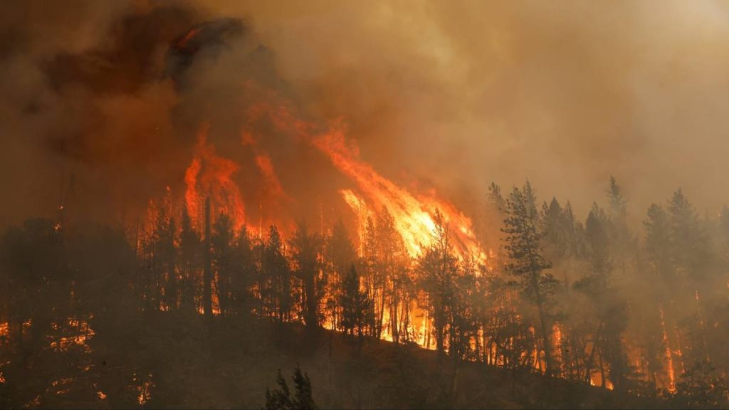 Thousands evacuated due to California's largest wildfire