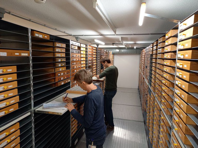 Samples are photographed, recorded and stored in a Naturalis collection tower