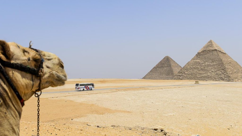 Study: The Dry Nile branch now helped build the pyramids |  Sciences