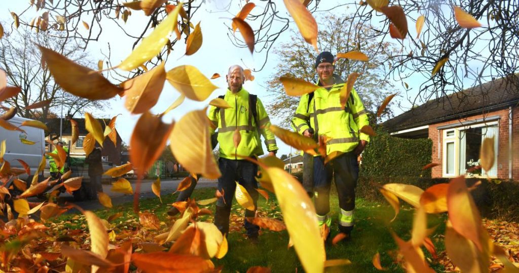 Why do we still blow leaves with gasoline?  'They are really outdated' |  Nijmegen