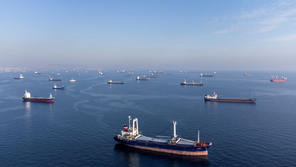 Grain ships left Ukraine despite Russia's withdrawal from the agreement