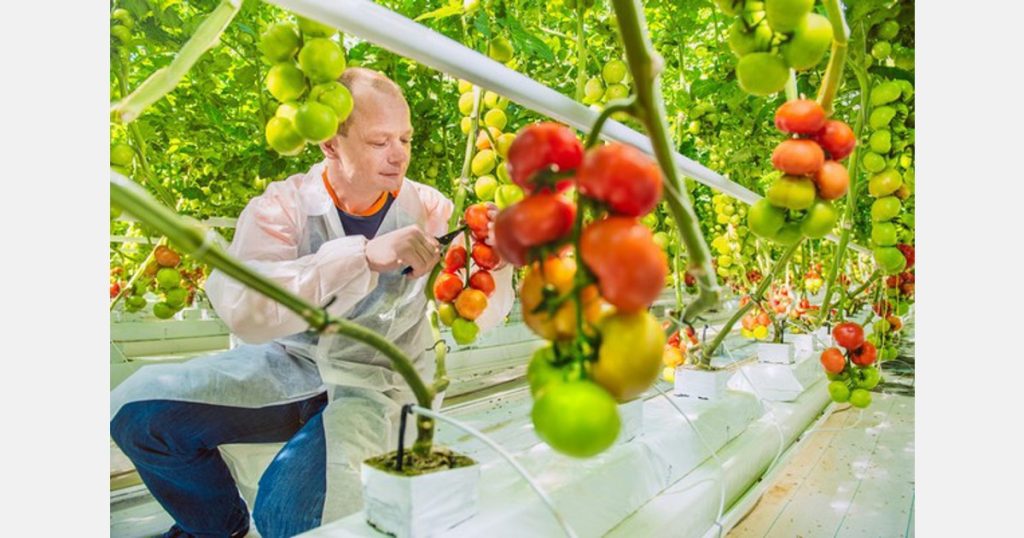 Sun Grow Horticulture acquires Pelemix US business operations