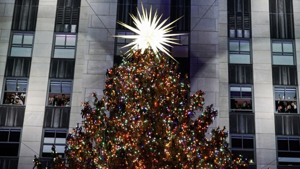 America's famous Christmas tree has arrived in New York