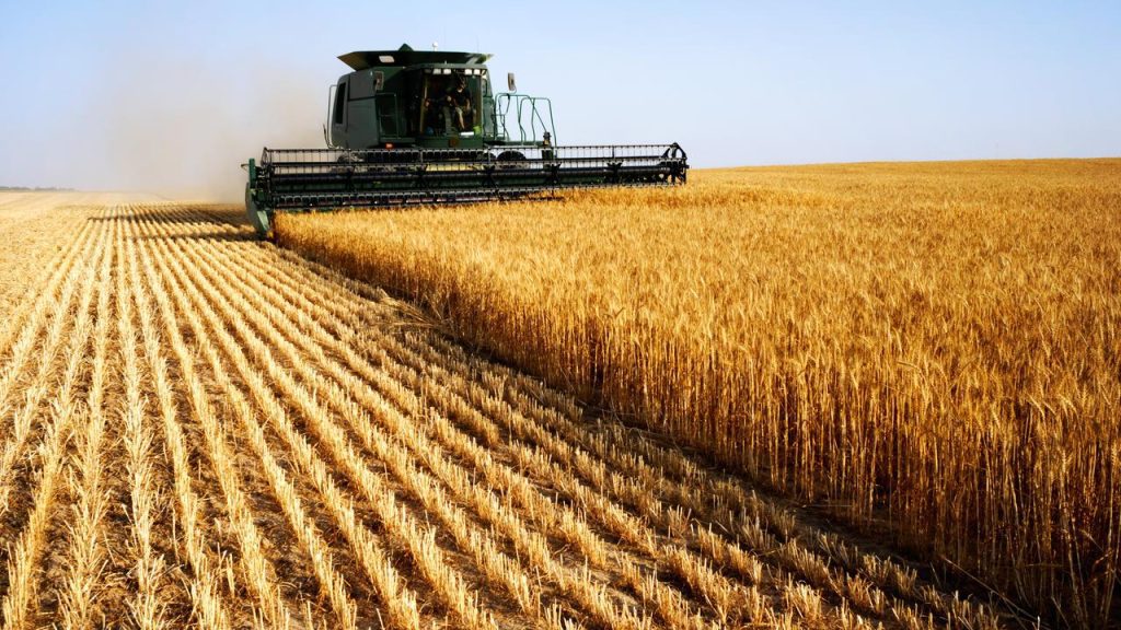 Russia withdraws from the grain deal: what does it mean?  |  Economie