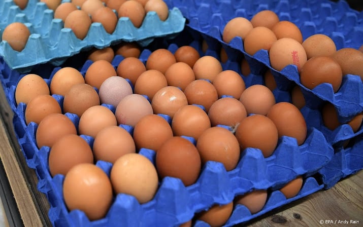 British Farmers Organization warns of a food crisis