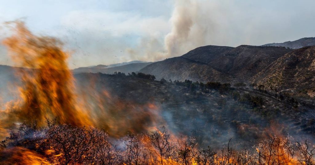2022 Severe Wildfires in Europe, South America and North America |  Science and the planet