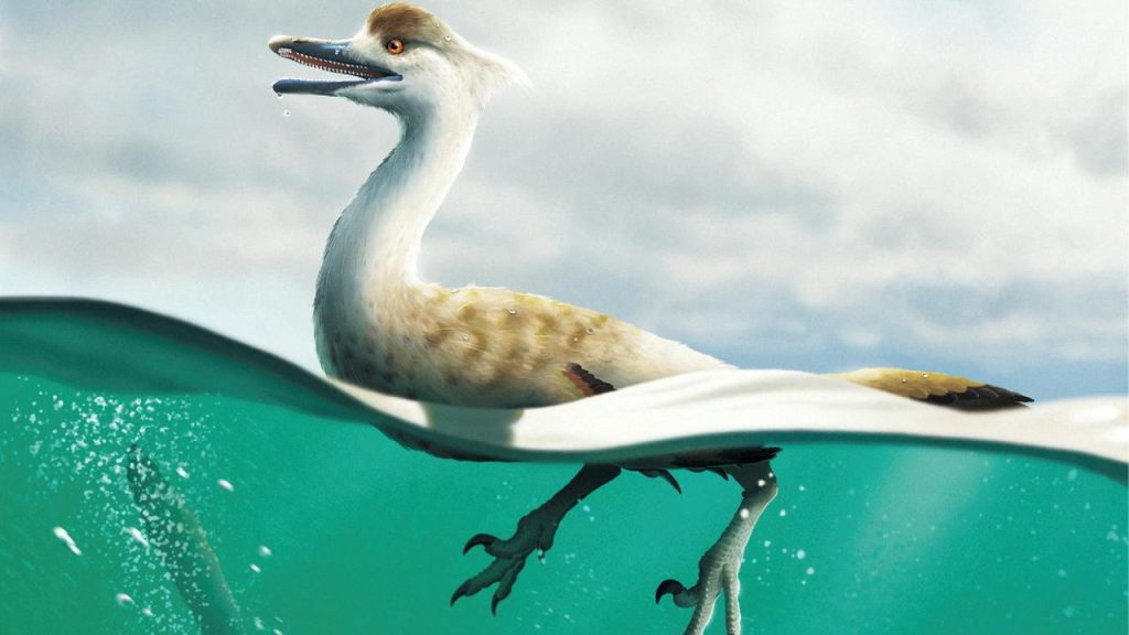 New duck-like dinosaur fossil hints at its ability to swim |  Sciences