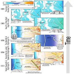 Old geography maps and the main trilogy of the Tonto Group. Gray lines represent Cenozoic errors, which are classified on the slightest chart and may have been active during the Cambrian time: GW - Grand Wash; H - Hurricane; M - b - but. Credit: New Mexico University