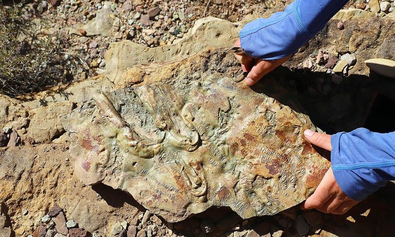 Rock analysis in Grand Canyon rewritten geological textbooks